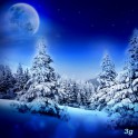Winterdream
