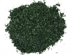 Salvia Divinorum