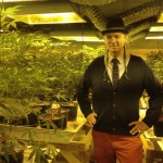USA im Cannabis Rausch